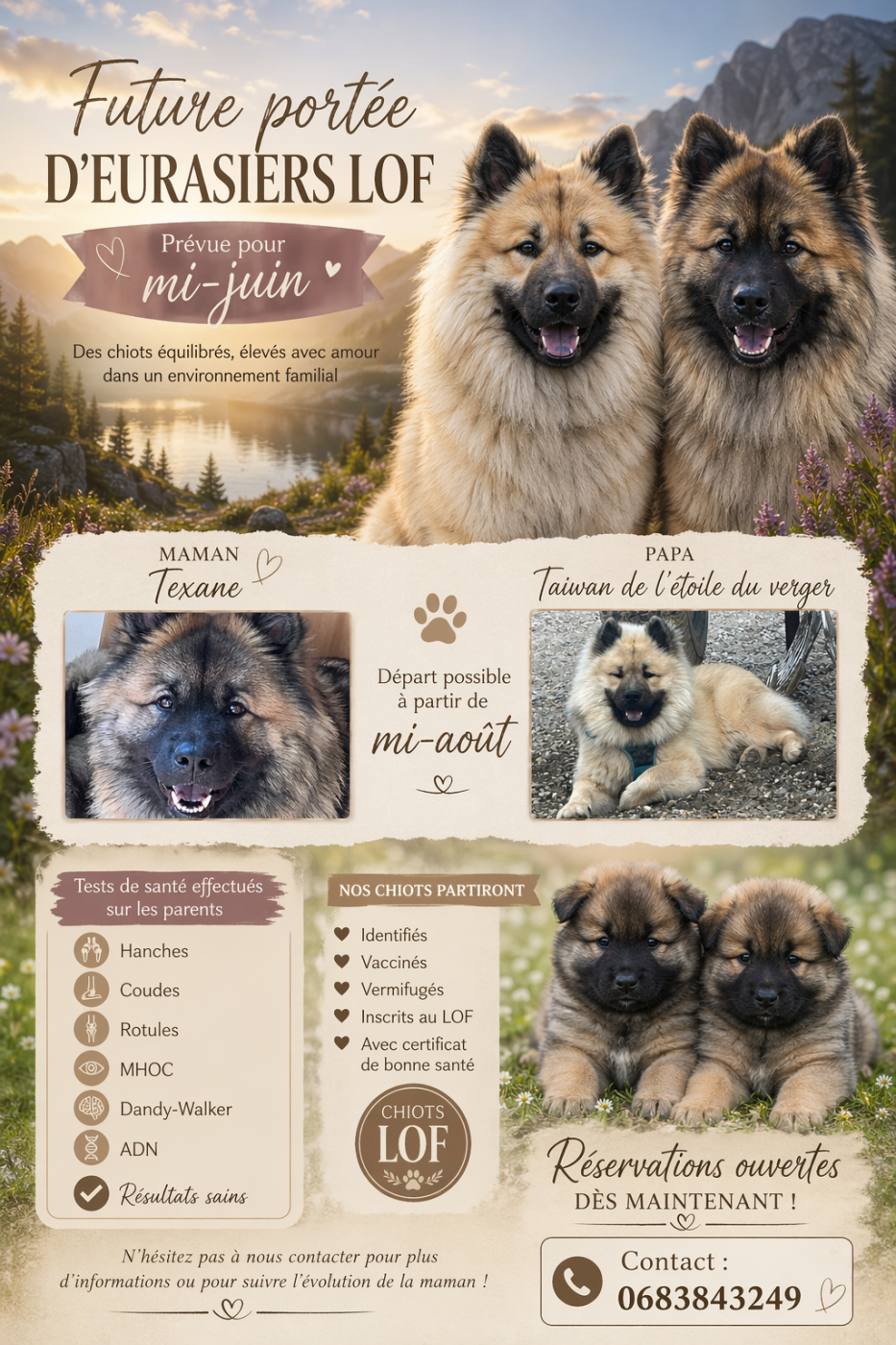 Future portée de Texane et Taiwan , naissance prévue pour mi-juin .